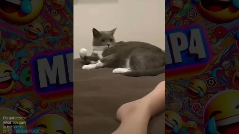 if you laugh 3 times, you lose (meme.mp4) смотреть онлайн