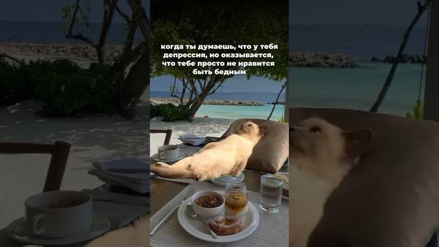 Это круто изменит твою жизнь, прочти 👇
Забери подарок в описании смотреть онлайн