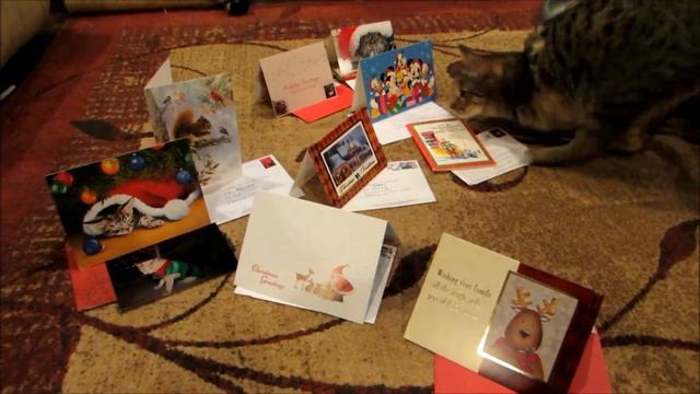 Mercury Gets Catmas Cards смотреть онлайн