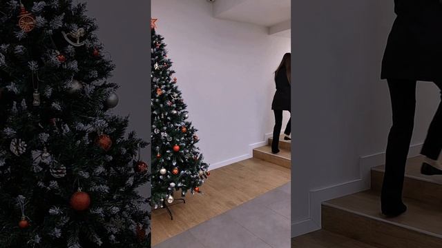 Скажи свое мнение о банкротстве и беги! смотреть онлайн