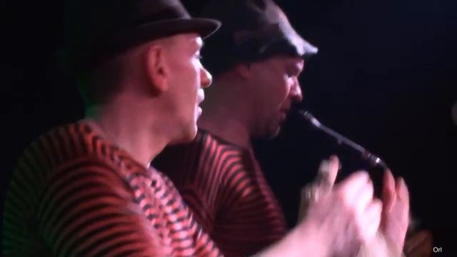 НОМ Насекомые