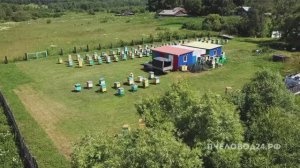 пчелопакеты в Красноярске