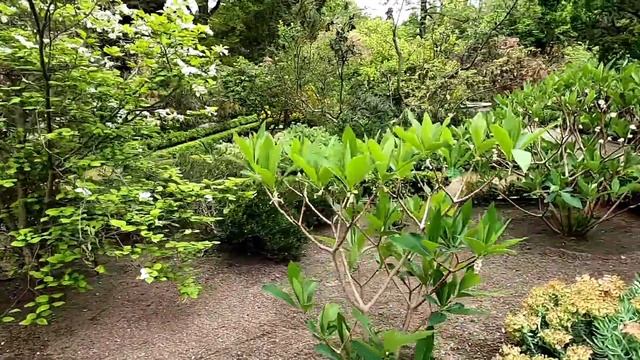 Real Jardin Botanico//Botanical Garden//Madrid Spain//PART 2 смотреть онлайн