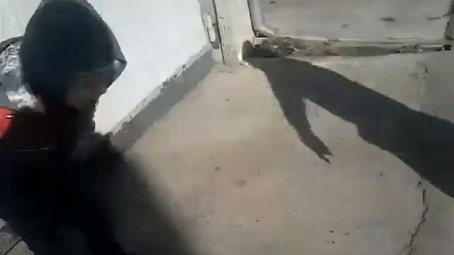 19 ноября 2017 г. смотреть онлайн