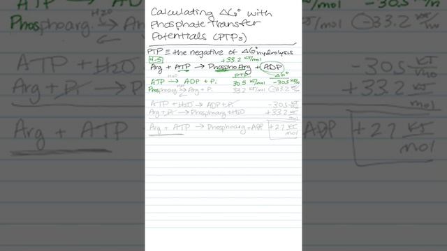 Phosphate Transfer Potentials for Coupled Reactions смотреть онлайн