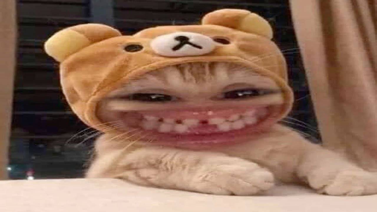 you laugh 2 times, you restart (memes from hole) смотреть онлайн