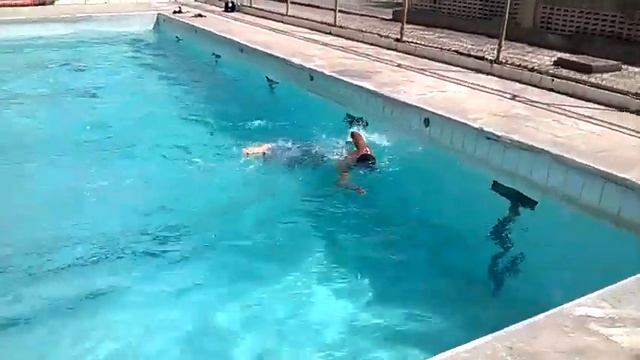 TAF Natação PMPE (50m-50sec) смотреть онлайн