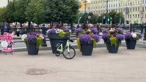 Из Калининграда в Санкт-Петербург - Путешествие️️