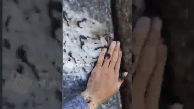 Комары в Якутии. Жесть смотреть онлайн