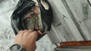 икудзо Хантер на рыбалке!) он может!)