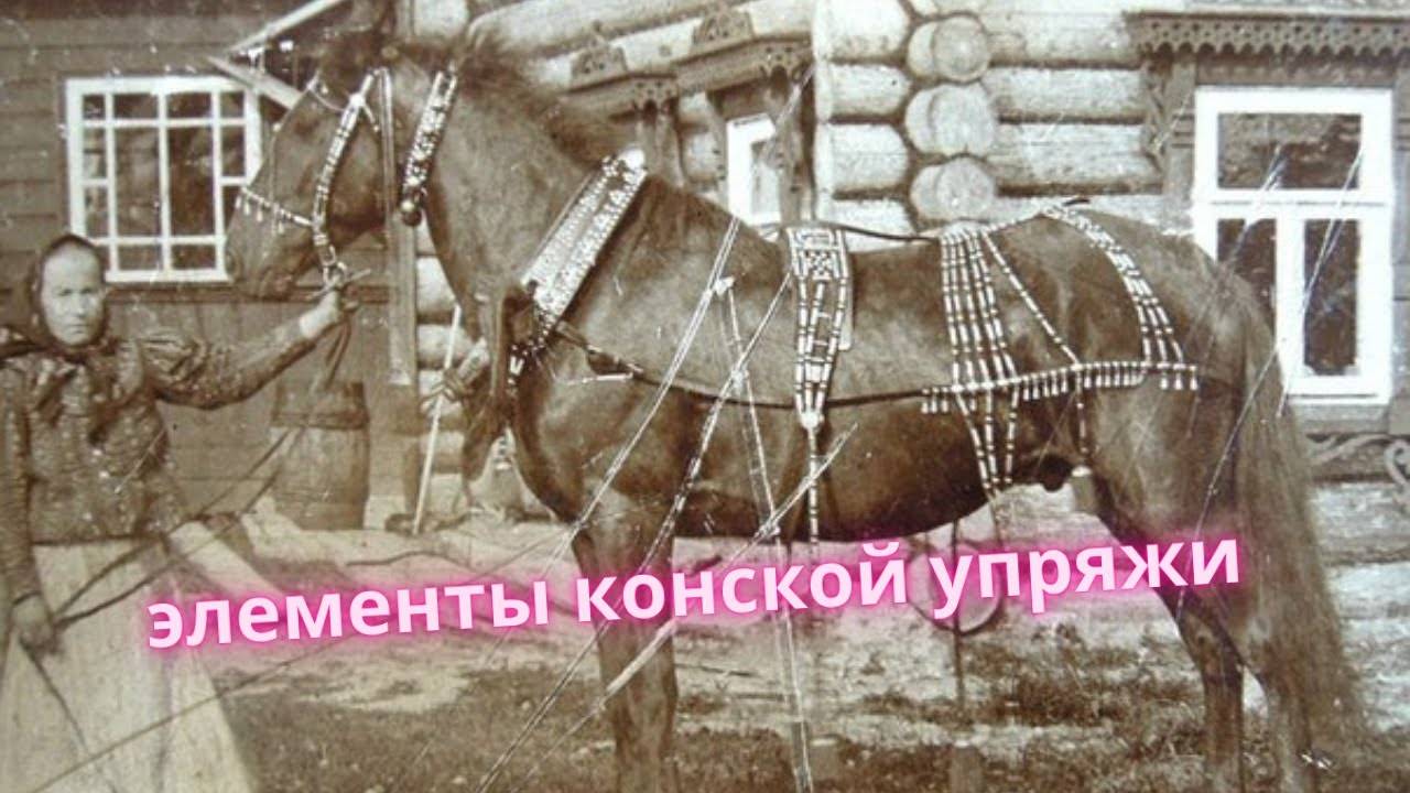 Конина - элементы конской упряжи. Самые частые находки на копе. смотреть онлайн