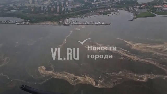 Амурский залив от низководного моста до Маяка покрылся пеной и плёнкой смотреть онлайн