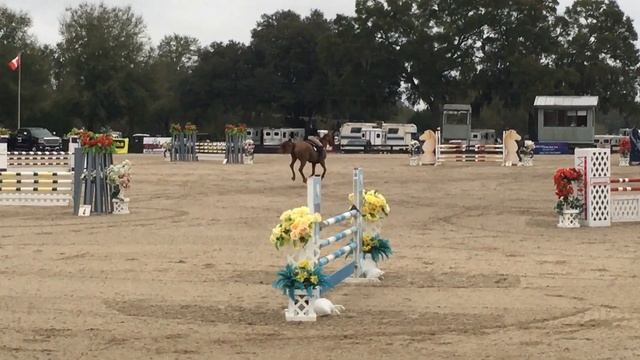 2016 HITs 1.10m Paprika смотреть онлайн