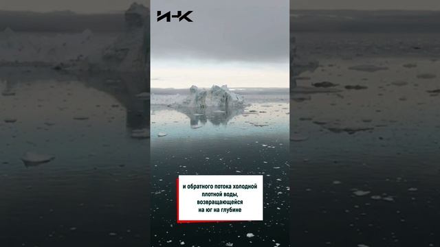 ИНК, институт научных коммуникаций, попкова, новости науки, наука в россии, наука, ученые, будущее