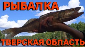РЫБАЛКА в Тверской области. Отдых с палатками. Красивые места. Рыбалка 2024. Река Молога. Часть 1