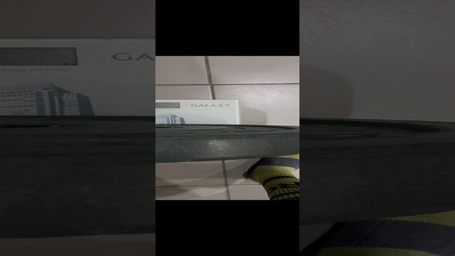 15-12-2024 - Взвешивание (500м)