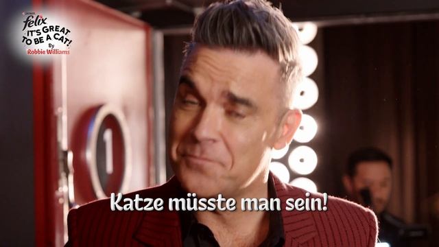 PURINA FELIX Snacks - Verwöhne deine Katze wie einen Star! смотреть онлайн