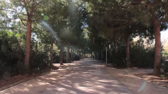 Bienvenido al Parque de Marxalenes (SIX Prod.) смотреть онлайн
