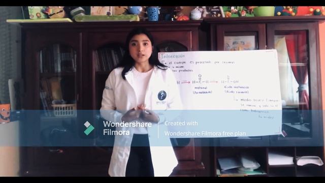 El Metanol Y Su Proceso De Intoxicación