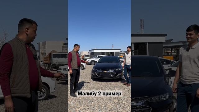 Малибу 2 пример сотилди 976007070 937577700 смотреть онлайн