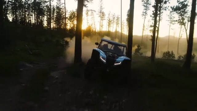 2023 NEW Arctic Cat Wildcat XX Black Hills Edition L Walkaround