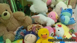 БОЛЬШОЙ РЕЙД ПО АППАРАТАМ telephone🎰МНОГО ИГРУШЕК НАЛОВИЛА,А ГУСЕЙ СКОЛЬКО? ПРИЯТНОГО ПРОСМОТРА 🍿