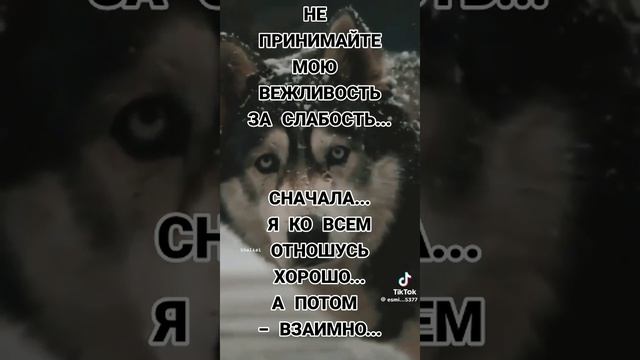 мудрость