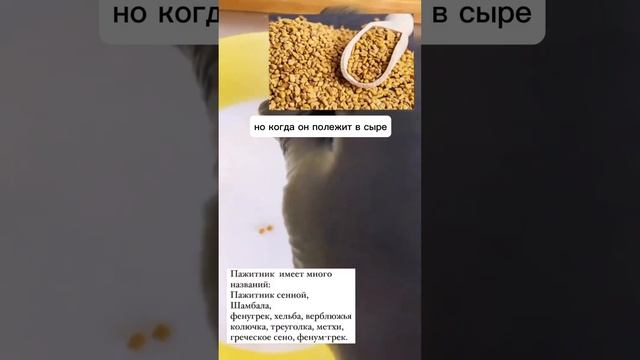 #онлайнобразование #обучениесыроделию #домашнеесыроделие #сулугуни #моцарелла #адыгейский #сыроварн смотреть онлайн
