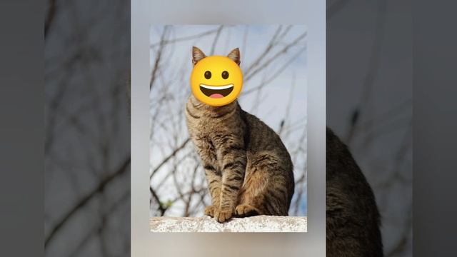 глюкоза - руки - бёдра (remix)