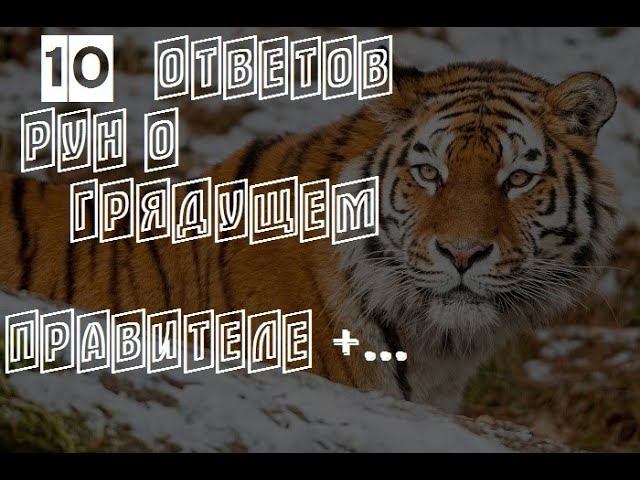 Ответы рун о Грядущем правителе смотреть онлайн