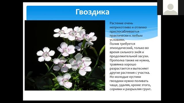 Тренинг для молодежного сообщества по организации устойчивого озеленения в Павлодарской области. смотреть онлайн