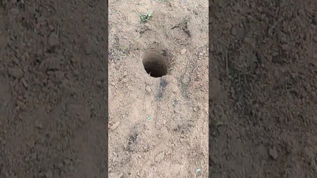 Ямы под столбы #shots смотреть онлайн