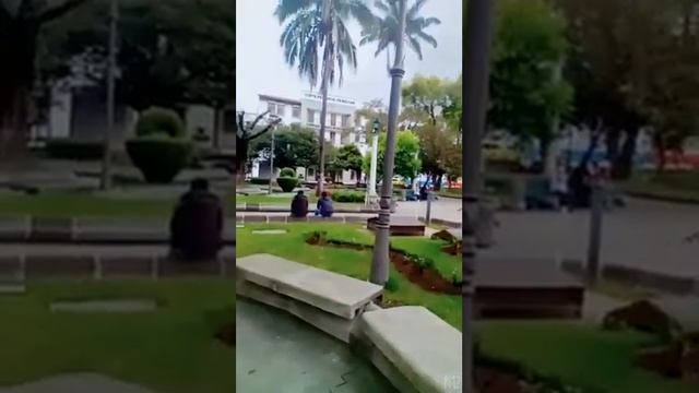 diferencia morfemas entre ver y observar смотреть онлайн