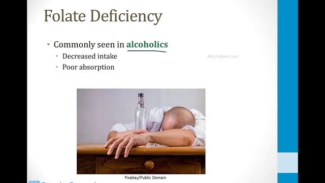 Biochemistry - 4. Vitamins - 2. B12 And Folate Atf