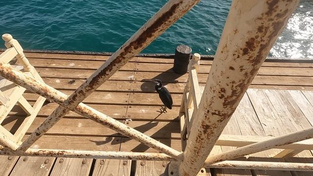 Египет Хургада смотреть онлайн