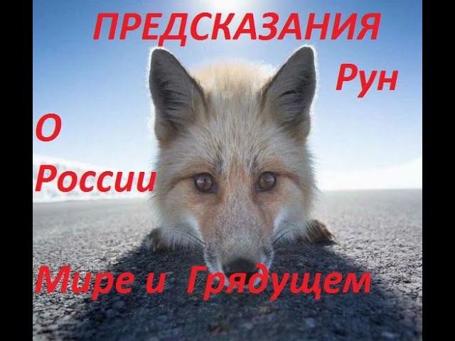 Руническая магия, мантика онлайн, обсуждаем будущие нашей цивилизации (270124) смотреть онлайн