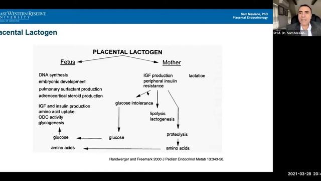 Session 5 (28/03/2021) смотреть онлайн
