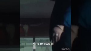 Поколение травоядных.