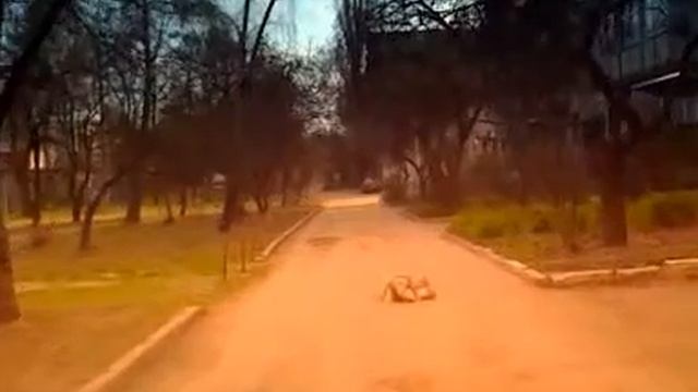 Жил да был, белый кот во дворе.. :))) смотреть онлайн