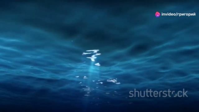 Фотография под водой смотреть онлайн