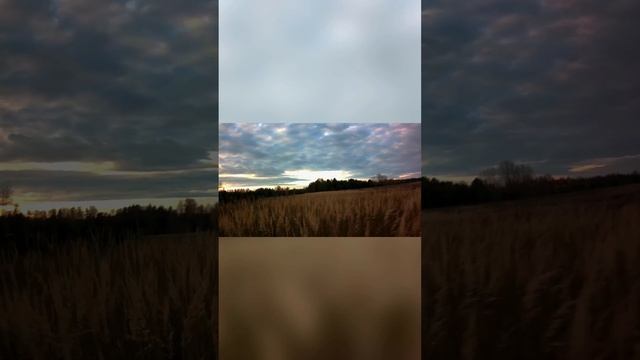 Вернёмся в осень