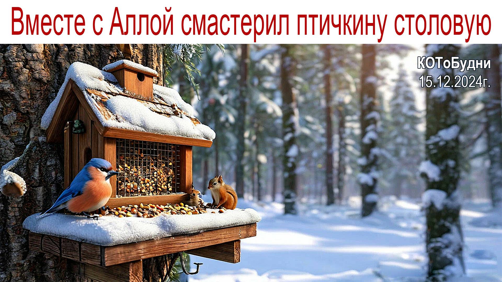 Зимний лес не спит, а дремлет,серебром окутан весь, не покинув эту землю, много птиц осталось здесь смотреть онлайн