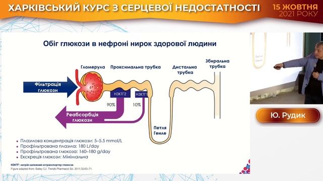 4 Рудик Ю. С. Керування ризиками при СН - гліфлазіни. смотреть онлайн