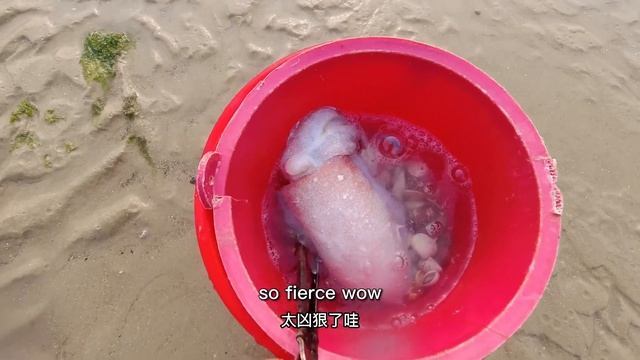 Appearance gentle big cuttlefish, unexpectedly continuous water spray attack, clothes soaked смотреть онлайн