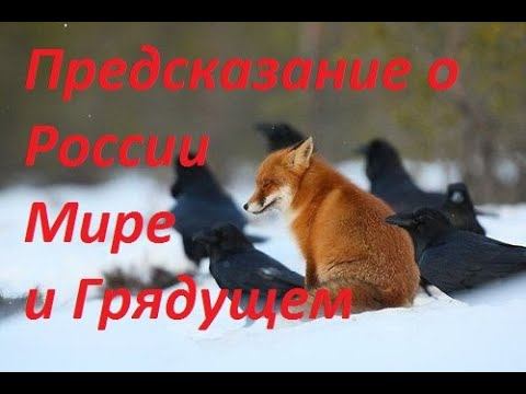 Руническая магия, мантика онлайн, обсуждаем будущие нашей цивилизации (060124) смотреть онлайн