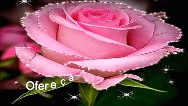 A rosa mais linda смотреть онлайн