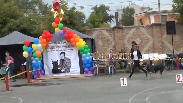 20150829123947 4 смотреть онлайн