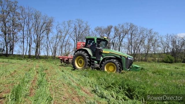 John Deere 8R 410 | Czajkowski + Väderstad Tempo 8 | bezorebna sejba kukurice | SYNCRA смотреть онлайн
