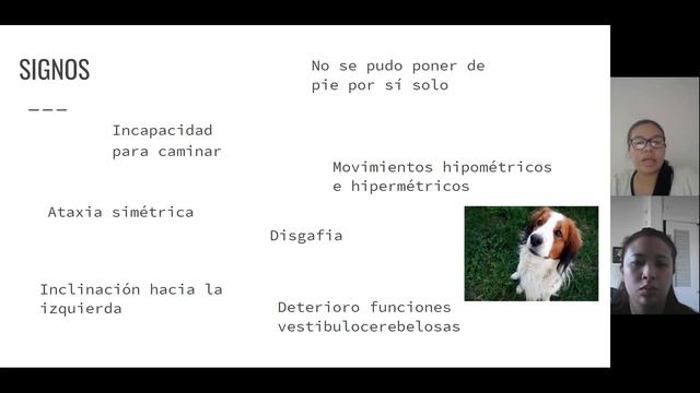 Análisis caso Bravecto смотреть онлайн