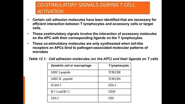 Immune Response part 2 смотреть онлайн